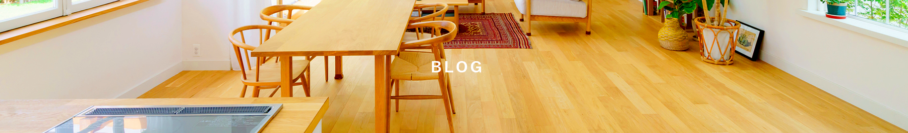 blog