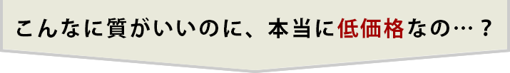 でもこんな低価格で大丈夫なのかな・・・?