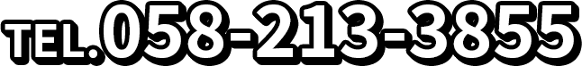 058-213-3855