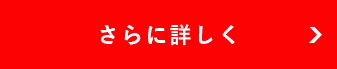 さらに詳しく