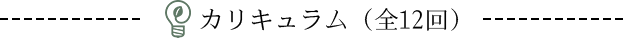 カリキュラム（全12回）