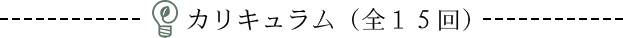 カリキュラム（全15回）
