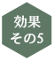 効果その5