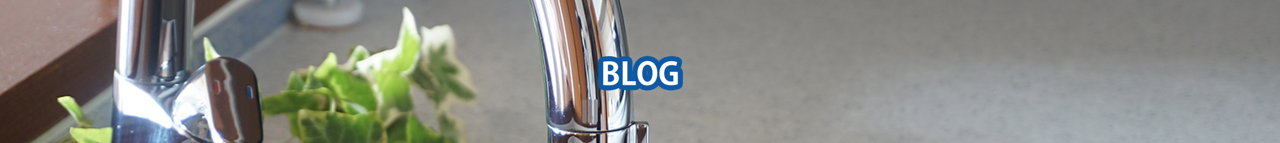 blog