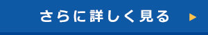 さらに詳しく見る