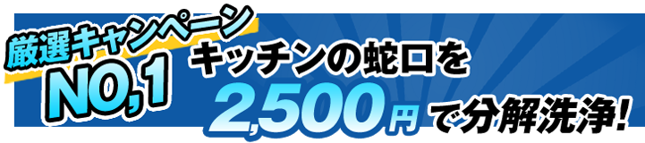キッチンの蛇口を2500円で分解洗浄