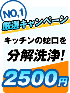 キッチンの蛇口を分解洗浄2500円
