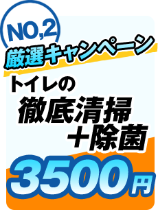 トイレの徹底清掃+除菌3500円