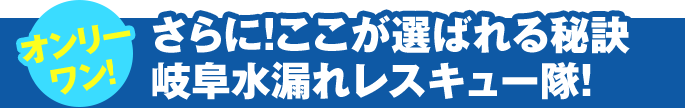 さらに！ここが選ばれる秘訣岐阜水漏れレスキュー隊！