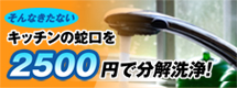 蛇口を2500円で分解洗浄！