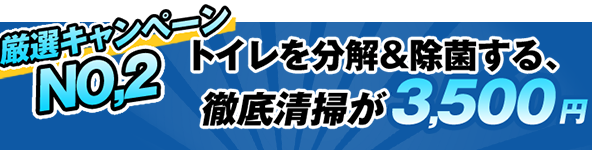 トイレを分解＆2500円で分解洗浄