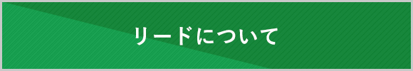 リードについて