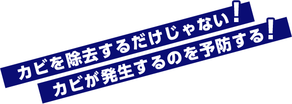 カビを除去するだけじゃない！カビが発生するのを予防する！