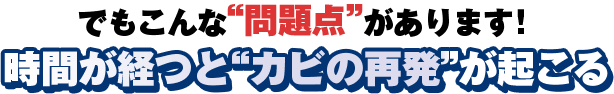 でもこんな問題があります！時間が経つとカビの再発が起こる