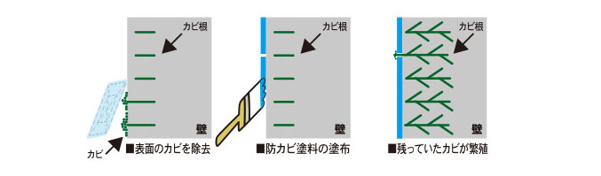 カビ処理工程