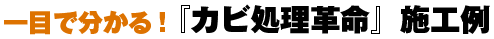 一目で分かるカビ処理革命施工例