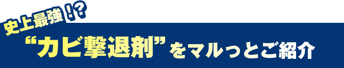 史上最強カビ撃退剤をマルっとご紹介