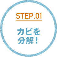 カビを分解!