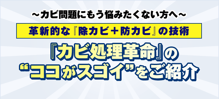 カビ処理革命のここがスゴイをご紹介