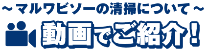 マルワビソーの清掃について動画でご紹介