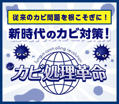 カビ処理革命