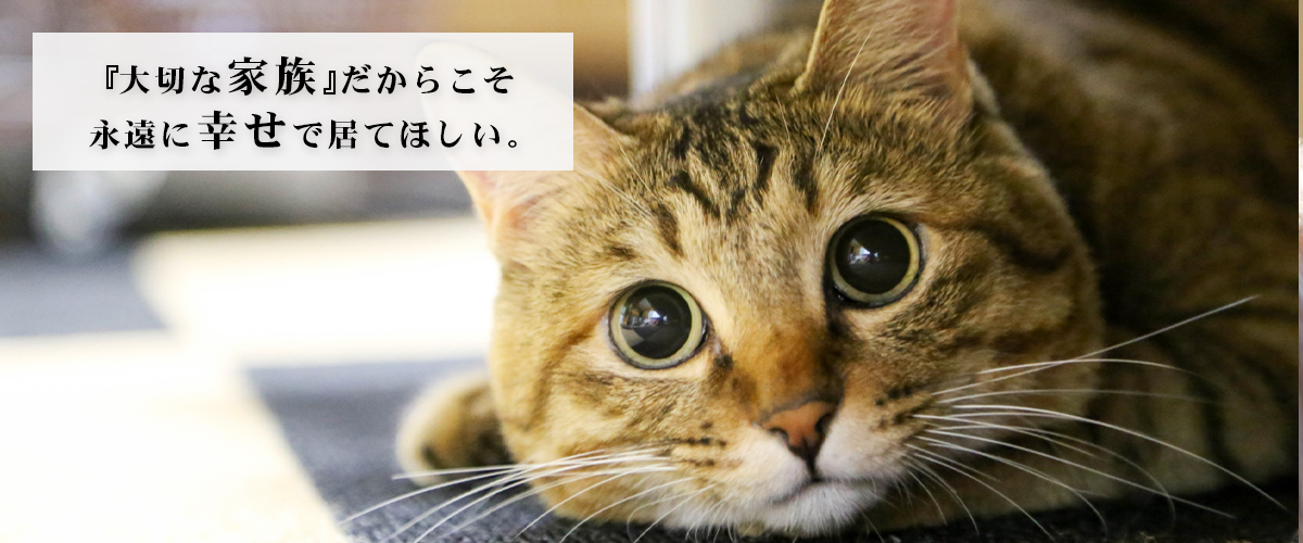 大切な家族だからこそ永遠に幸せで居て欲しい