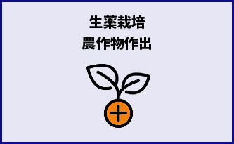 生薬栽培農作物作出