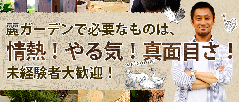 未経験者大歓迎