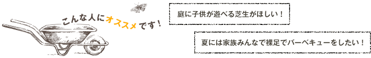 庭に子供が遊べる芝生がほしい！