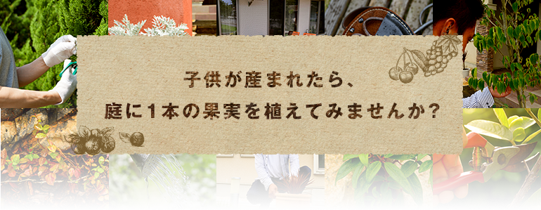 子供が産まれたら、庭に1本の果実を植えてみませんか？