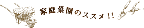 家庭菜園のススメ