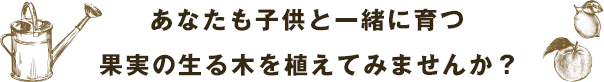 あなたも子供と一緒に育つ果実の生る木を植えてみませんか？