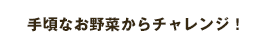 手頃なお野菜からチャレンジ