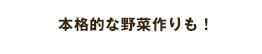 本格的な野菜作りも