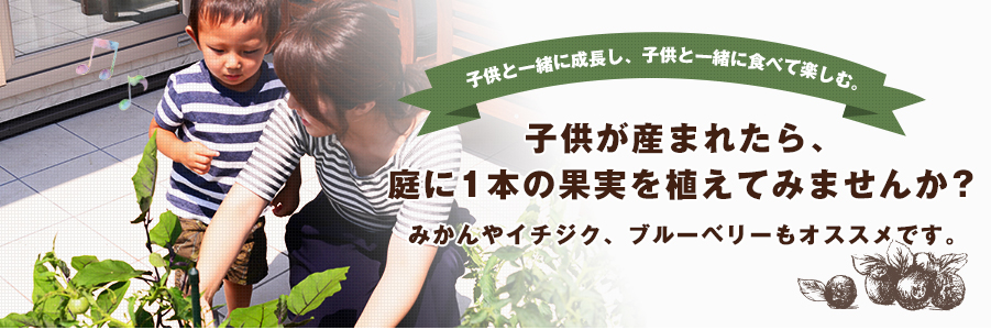 子供が産まれたら、庭に1本の果実を植えてみませんか？